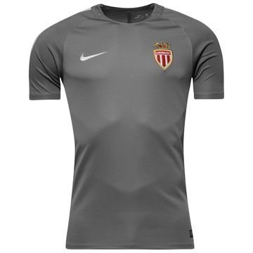 AS Monaco Treenipaita Dry Top Squad Harmaa