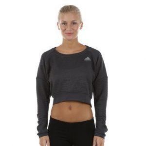 Active Pullover