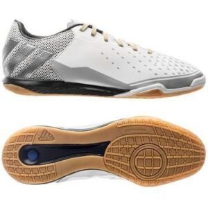 Adidas ACE 16.2 Court IN Stellar Pack Valkoinen/Hopea/Kulta