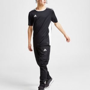 Adidas Condivo 18 Track Pants Musta