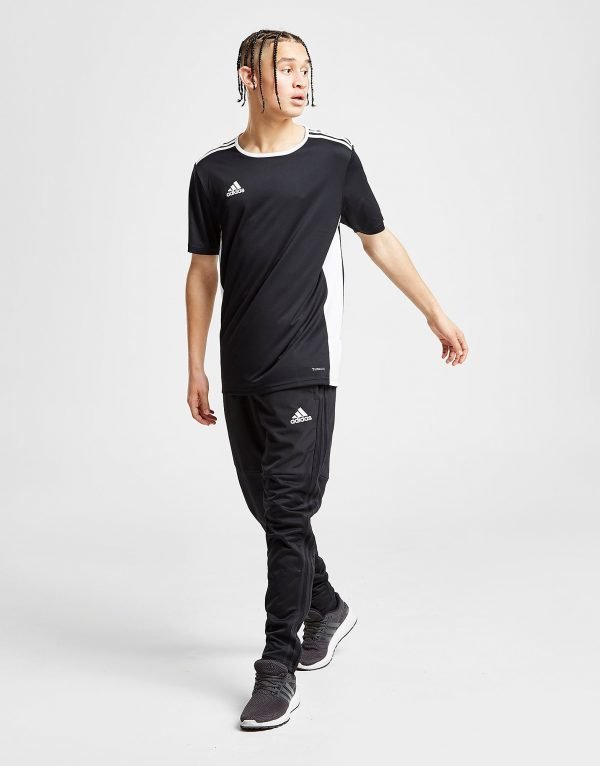 Adidas Condivo 18 Track Pants Musta