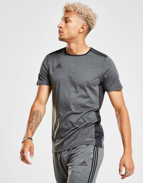 Adidas Entrada 18 T-Shirt Harmaa