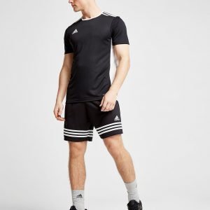 Adidas Entrada 18 T-Shirt Musta