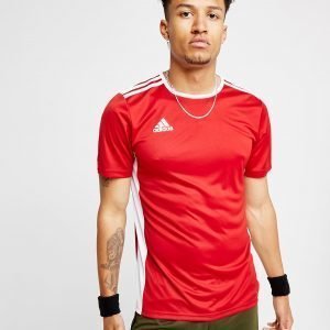 Adidas Entrada 18 T-Shirt Punainen