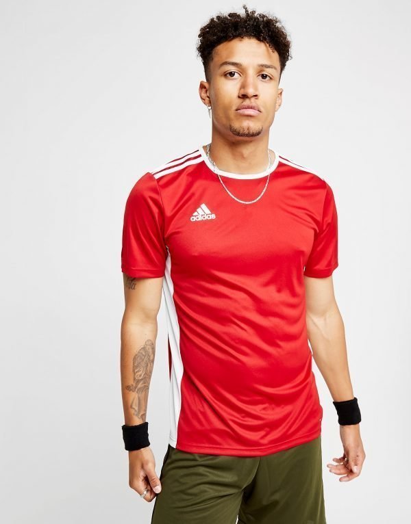 Adidas Entrada 18 T-Shirt Punainen