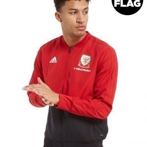 Adidas Fa Wales 2018/19 Presentation Jacket Punainen