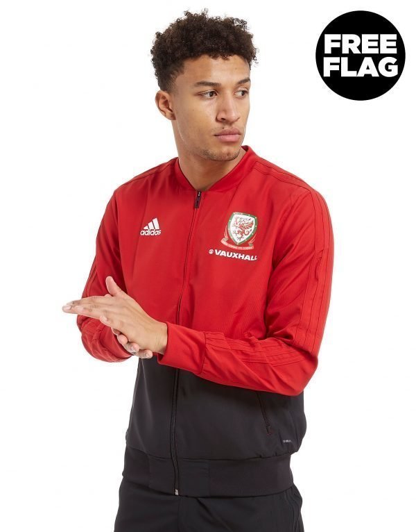Adidas Fa Wales 2018/19 Presentation Jacket Punainen