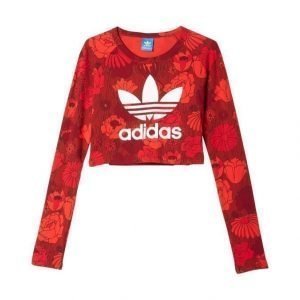 Adidas Originals Crop Longsleeve Paita