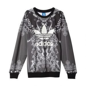 Adidas Originals Pavao Collegepaita