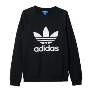 Adidas Originals Trefoil Collegepaita