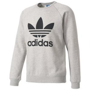 Adidas Originals Trefoil Collegepaita