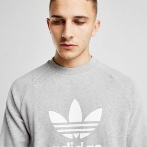 Adidas Originals Trefoil Crew Collegepaita Harmaa