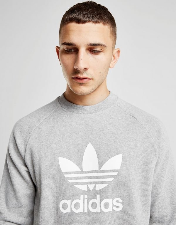 Adidas Originals Trefoil Crew Collegepaita Harmaa