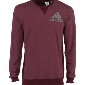 Adidas Performance Prime Collegepaita