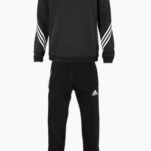 Adidas Sere14 Swt Suit Collegeasu