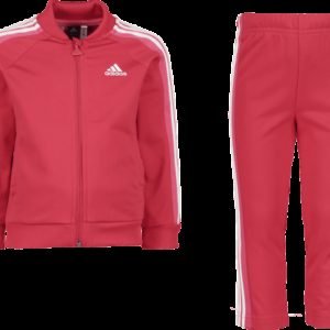 Adidas Shiny Ts Set Verryttelyasu