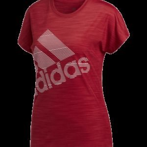 Adidas Shortsleeve Bos Logo Tee Treenipaita