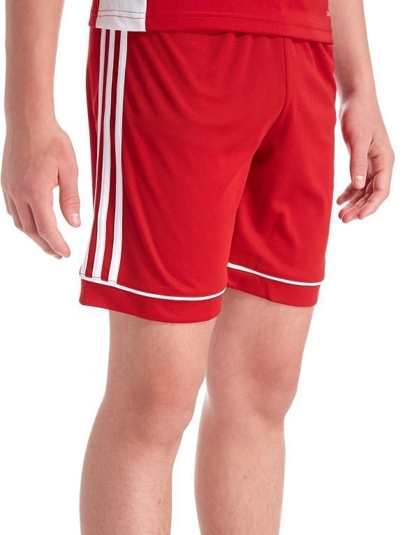 Adidas Squadra 17 Shorts Punainen