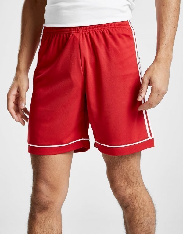 Adidas Squadra Shorts Punainen