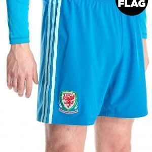 Adidas Wales 2018/19 Home Goalkeeper Shorts Sininen