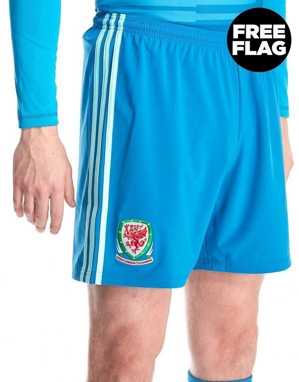 Adidas Wales 2018/19 Home Goalkeeper Shorts Sininen