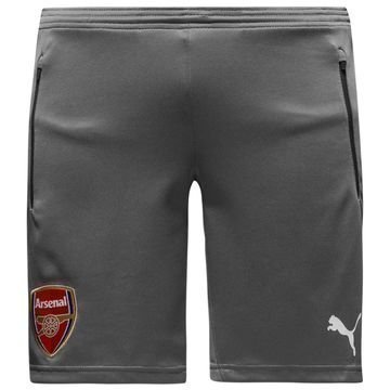 Arsenal Harjoitusshortsit Harmaa Lapset