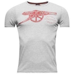 Arsenal T-Paita Cannon Harmaa Lapset