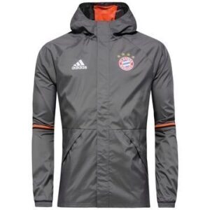 Bayern München Sadetakki Harmaa