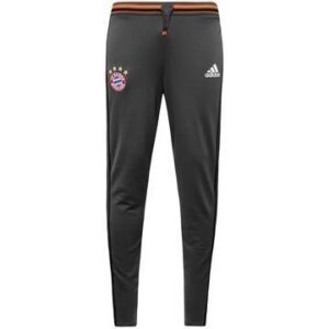 Bayern München Treenihousut Harmaa