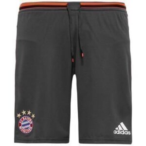 Bayern München Treenishortsit Harmaa