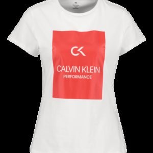 Calvin Klein Logo Ss Tee Treenipaita