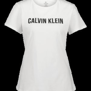 Calvin Klein Ss Tee Logo Treenipaita