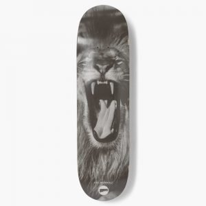 Hopps Joel Meinholz Lion 8