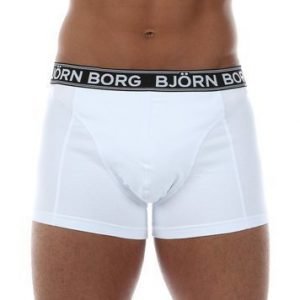 Iconic Short Shorts 1-p