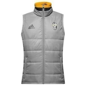 Juventus Liivi Harmaa
