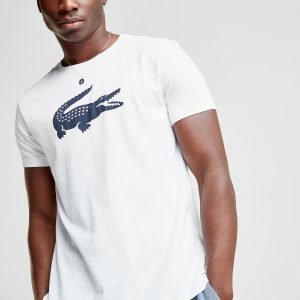 Lacoste Large Croc Short Sleeve T-Shirt Valkoinen
