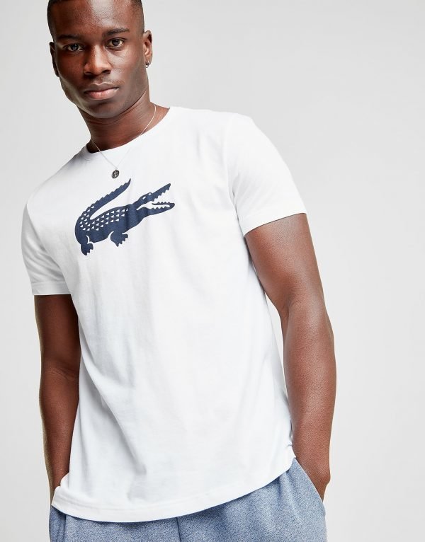 Lacoste Large Croc Short Sleeve T-Shirt Valkoinen