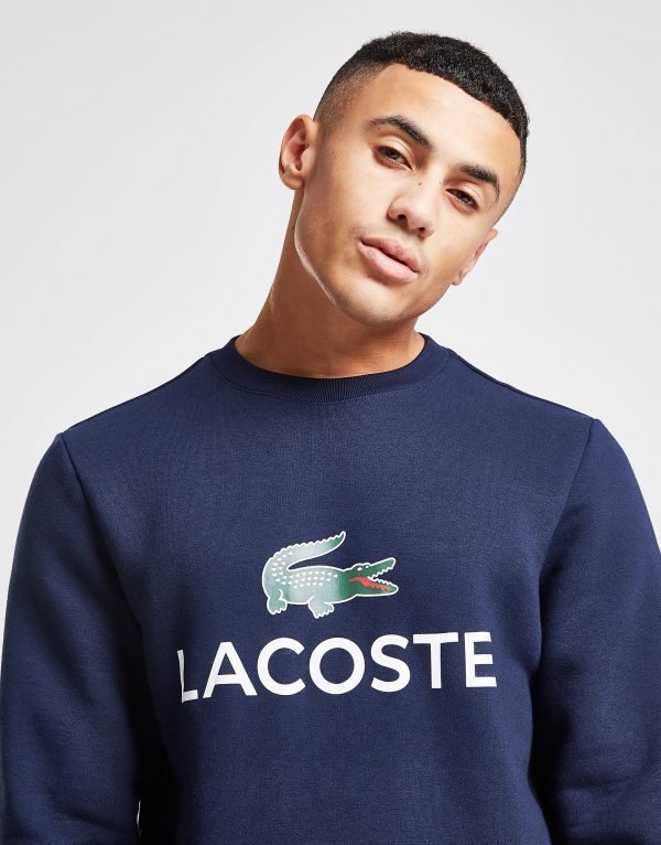 Lacoste Large Logo Crew Paita Laivastonsininen