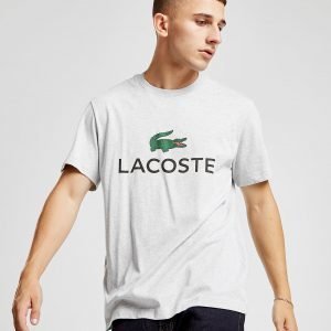 Lacoste Large Logo Short Sleeve T-Paita Harmaa