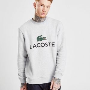 Lacoste Logo Crew Sweatshirt Harmaa