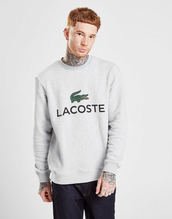 Lacoste Logo Crew Sweatshirt Harmaa