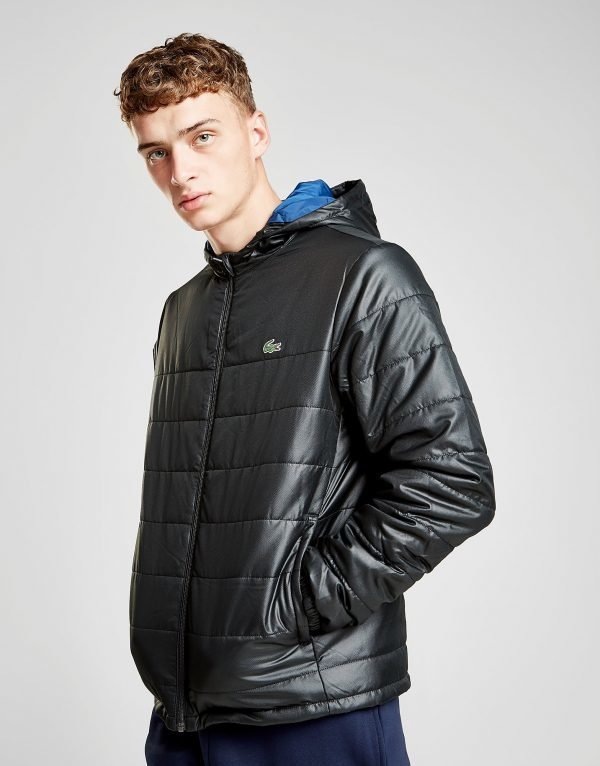 Lacoste Padded Jacket Musta