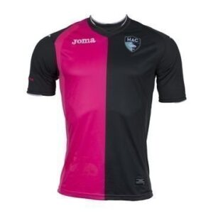 Le Havre Vieraspaita 2016/17