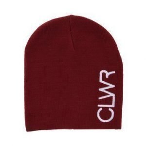 Logo Beanie