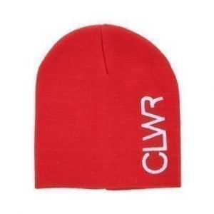 Logo Beanie