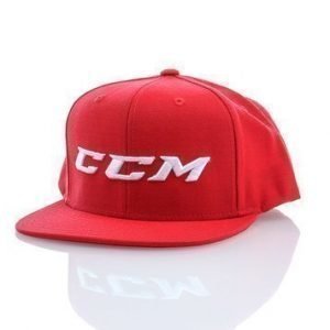 Logo Snapback