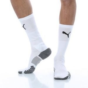 Match Crew Socks