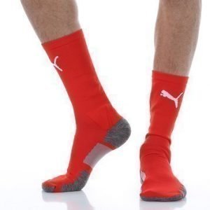 Match Crew Socks