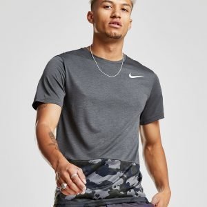 Nike Dry Panel T-Shirt Harmaa