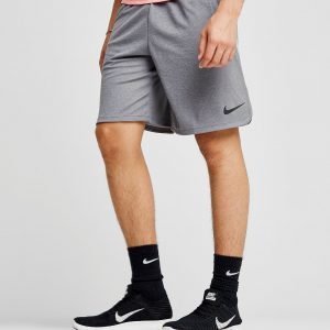 Nike Dry Poly Shorts 4.0 Harmaa